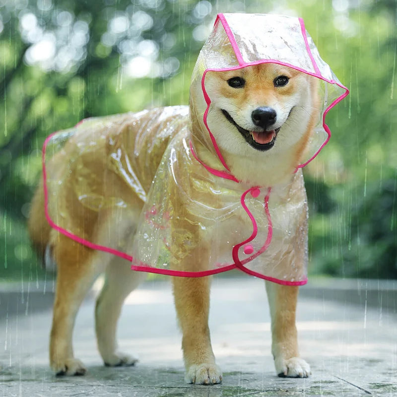 Pet Dog Puppy Transparent  Raincoat