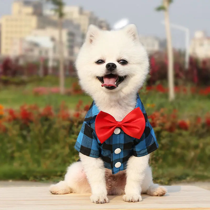 Pet Clothes Dogs