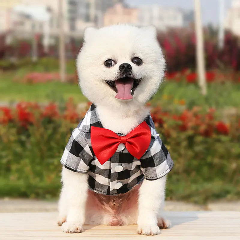 Pet Clothes Dogs