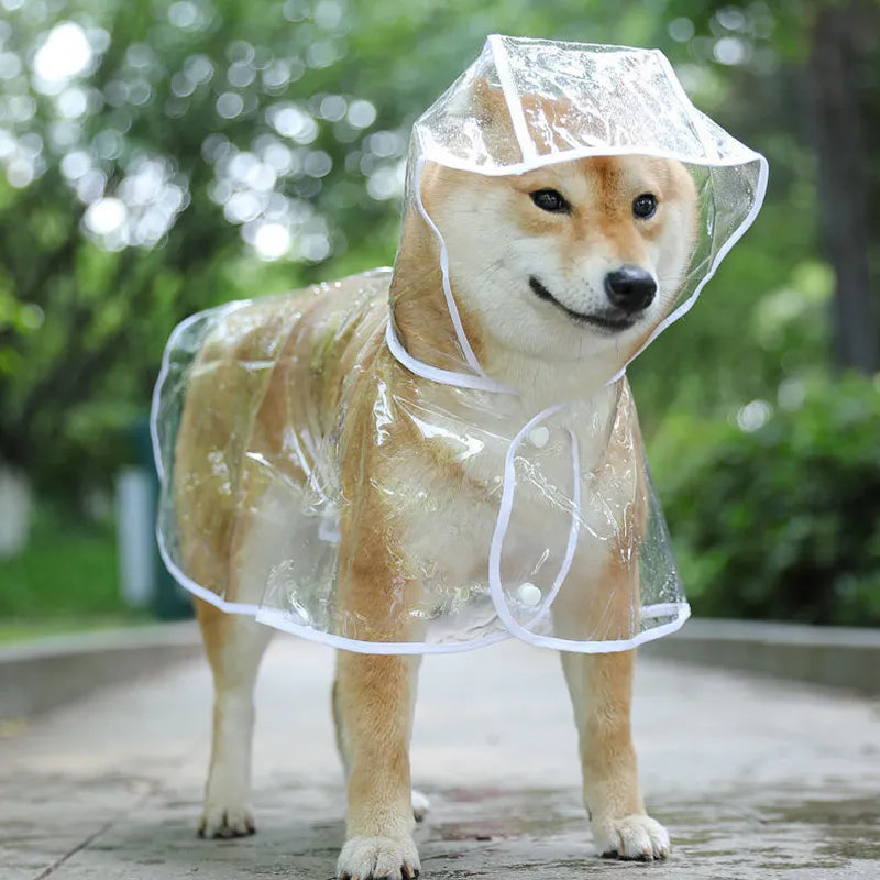 Pet Dog Puppy Transparent  Raincoat