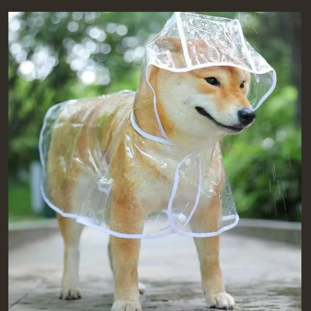 Pet Dog Puppy Transparent  Raincoat