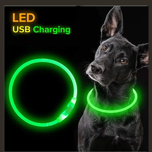 Led Dog Collar Light up USB Cat and Dog