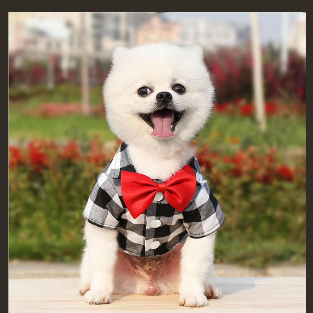 Pet Clothes Dogs